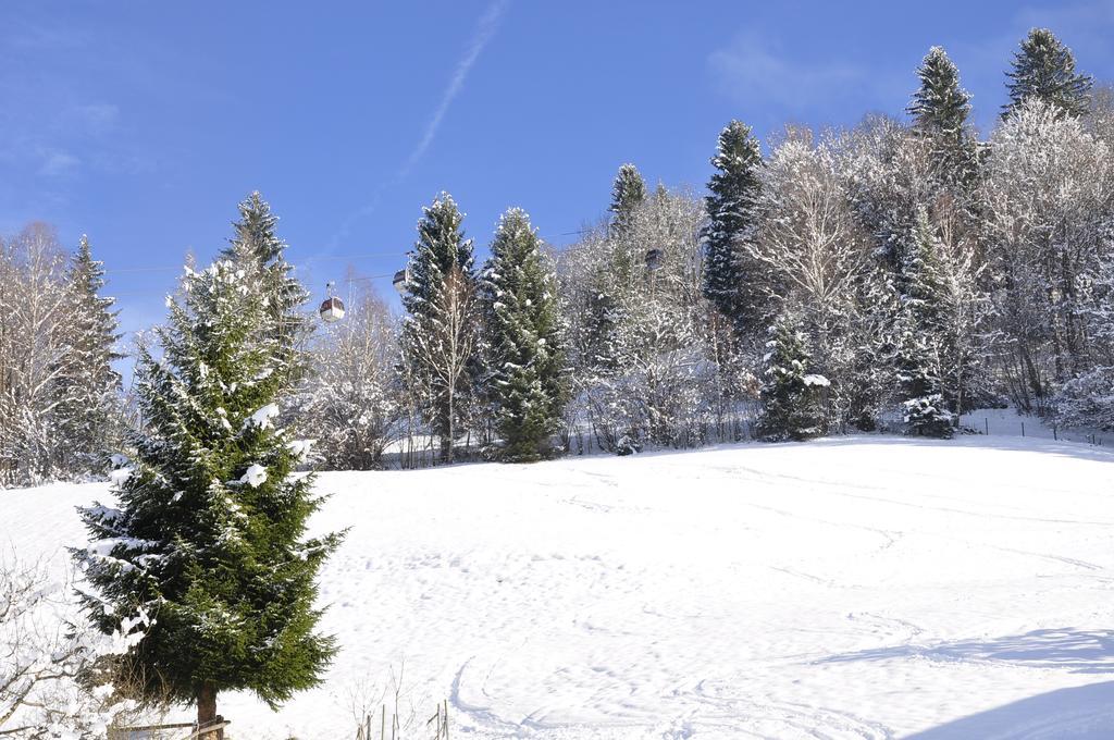 Haus Voithofer Διαμέρισμα Sankt Johann im Pongau Εξωτερικό φωτογραφία