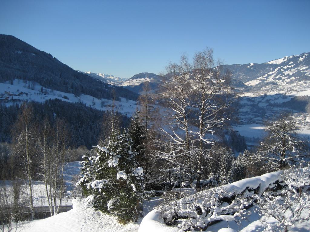 Haus Voithofer Διαμέρισμα Sankt Johann im Pongau Εξωτερικό φωτογραφία
